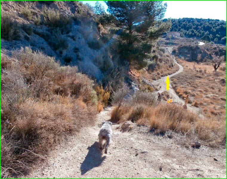 ruta por Paisatge Protegit de la Serra del Maigmó i Serra del Sit