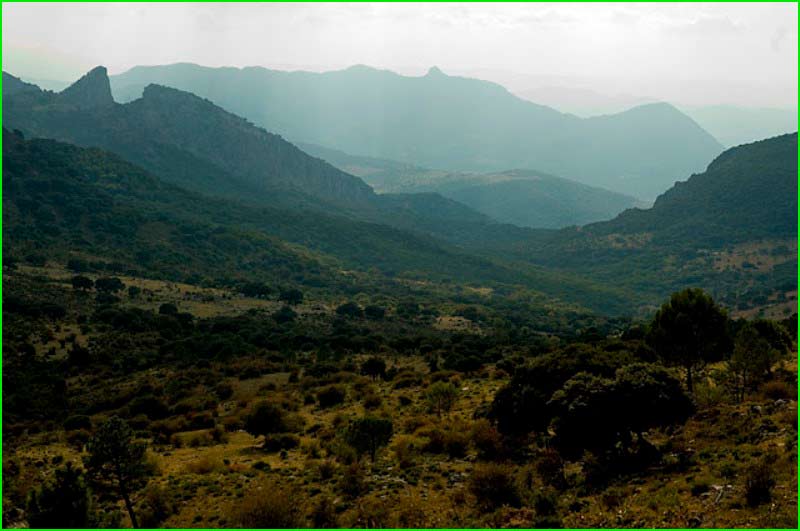 ruta Cádiz - Medina Sidonia - El Bosque - Puerto del Boyar en Cádiz