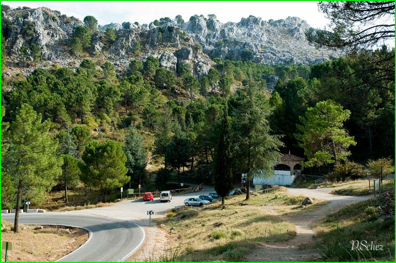 ruta por Parque Natural de la Sierra de Grazalema