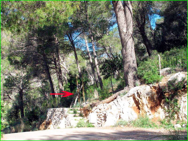 ruta por Selva, Mallorca