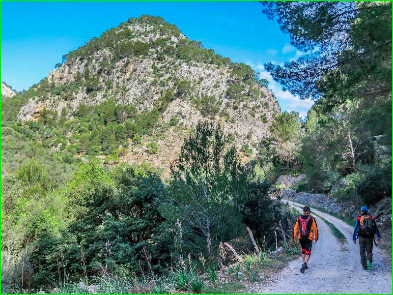 ruta por Selva, Mallorca