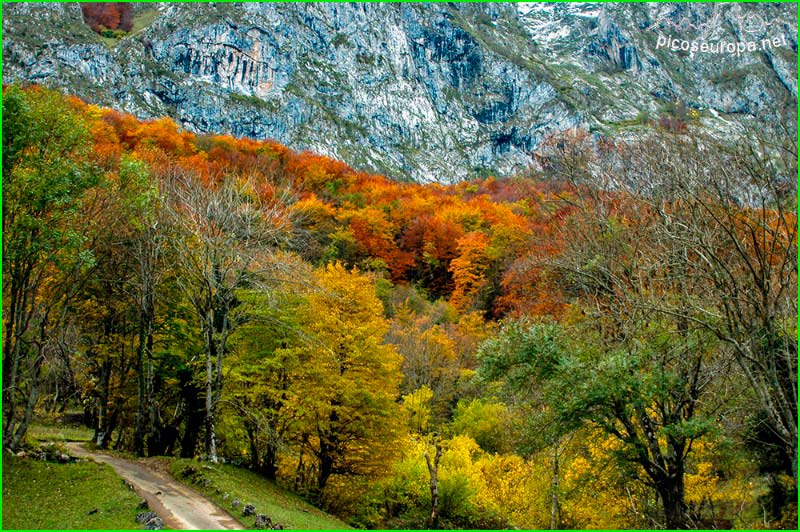 ruta Caín de Valdeón - Monte las Hojas - AP-AV en Asturias