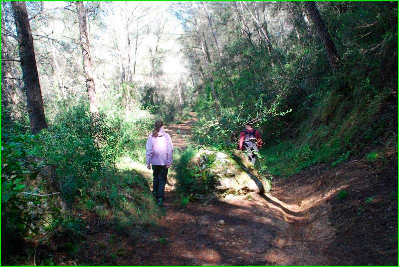 ruta por Parc del Foix
