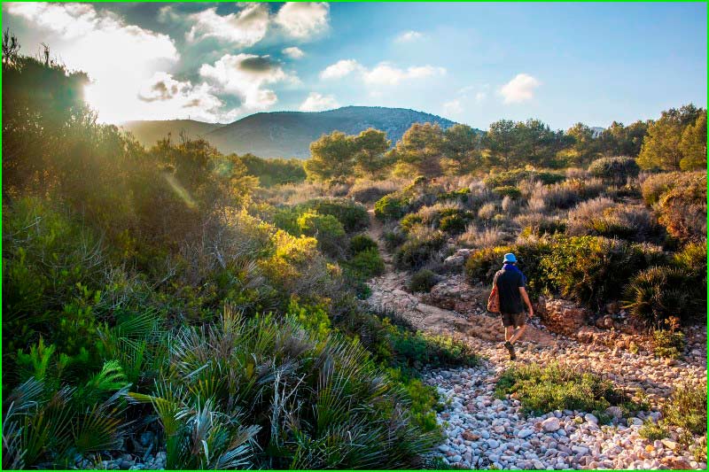 ruta Cala Blanca - Cala Mundina - Cala Ribamar en Castellón