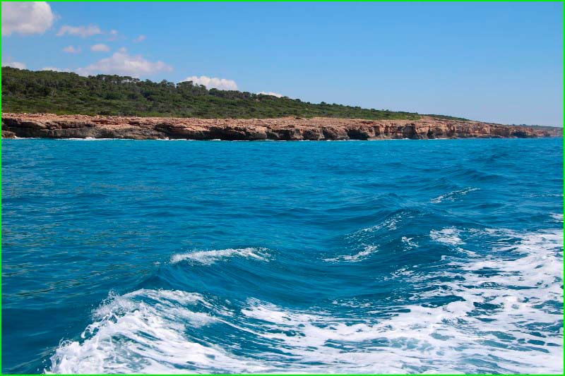 track Cala dels Riells - Punta de l'Olla en Gerona