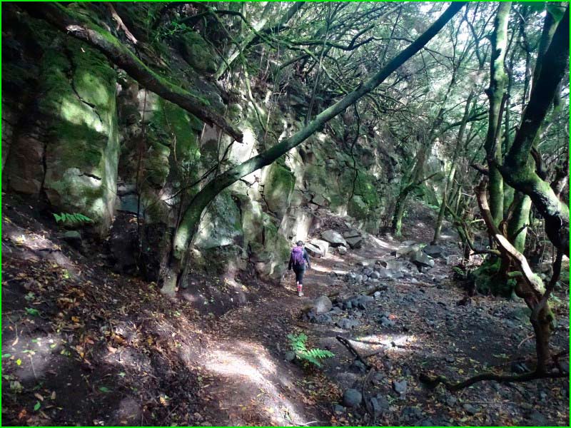 track Caldera del Agua en Santa Cruz de Tenerife