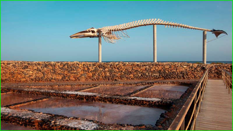 ruta Caleta de Fuste - Salinas del Carmen - Tiscamanita - Pájara - Antigua en Las Palmas