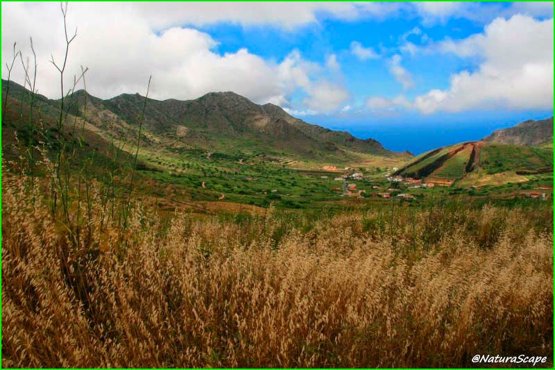 track Callejón de Teno - Cumbre de Baracán en Santa Cruz de Tenerife