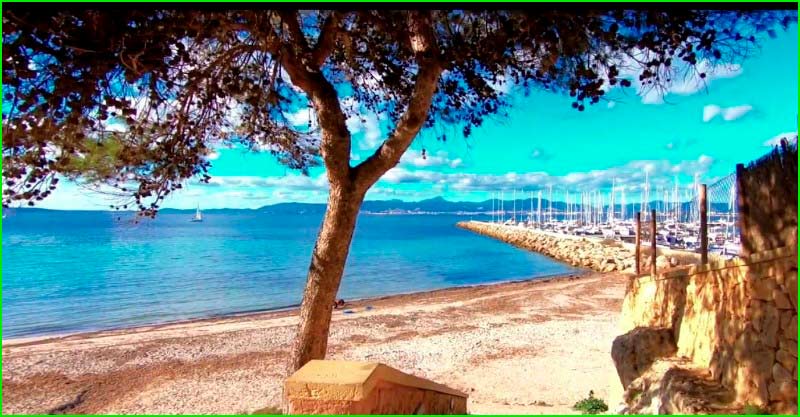 Palma en Baleares