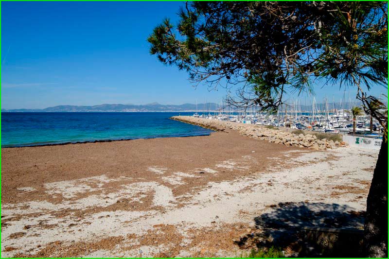 ruta Caló de Sant Antoni - Playa Can Pastilla - Mirador Bartomeu Gomila en Baleares