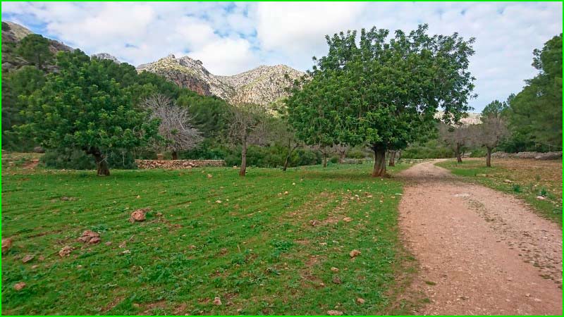 Finca Pública Galatzó en Baleares