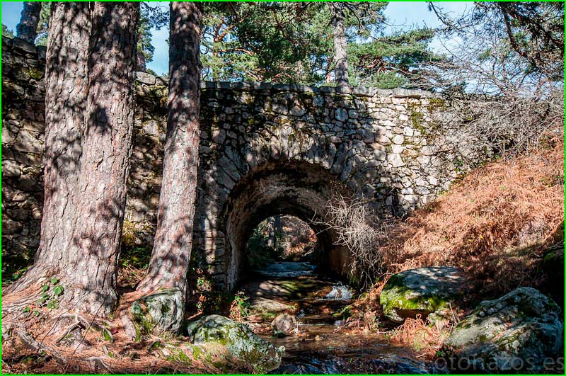 Parque Nacional de la Sierra de Guadarrama en Madrid