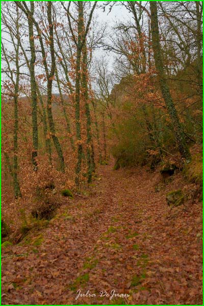 ruta Calzada Romana Valdoré - Crémenes en León