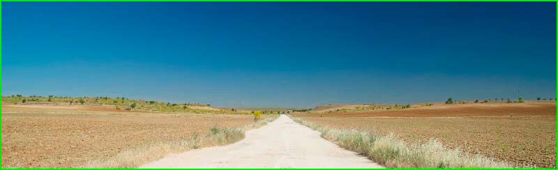 track Camarma de Esteruelas - Camino de Alcalá - Colada de Listón en Madrid