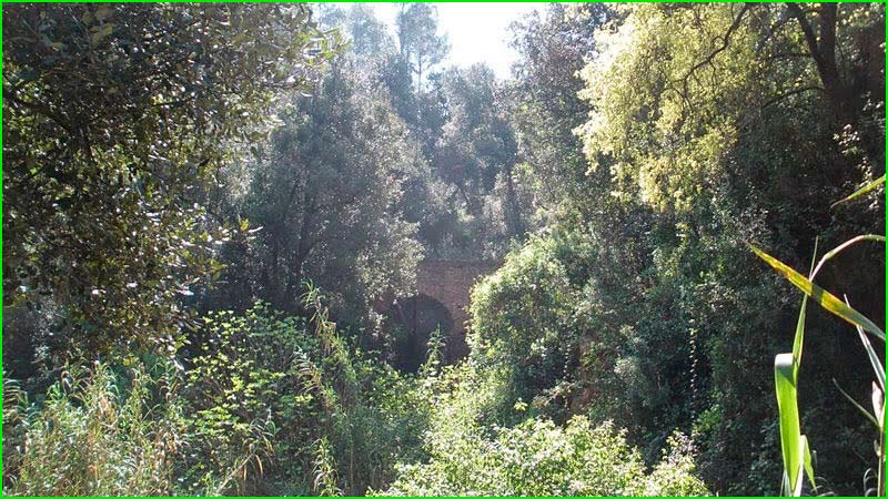 track Camí als Fitons - Camí del Calaix en Barcelona
