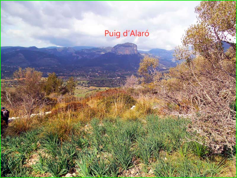 track Camí Ca n'Arabí - Coll d'en Simonet - Penyal dels Bous en Baleares