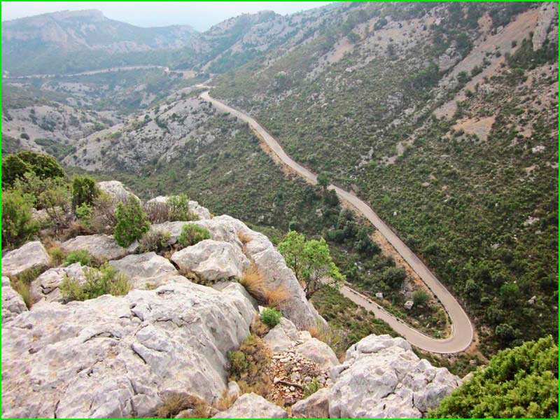 Rosell en Castellón