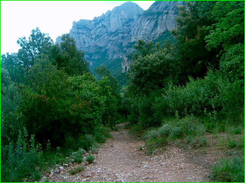 Santa Maria de Miralles en Barcelona