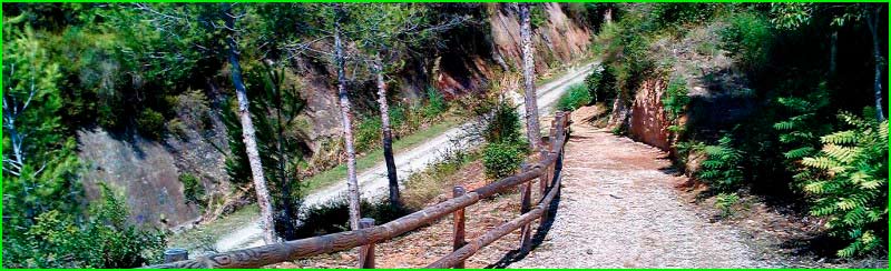 ruta Camí de Ca n'Arús - Turó Guilany - Universidad Autónoma Barcelona en Barcelona