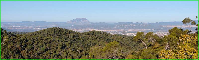 Parc de Collserola en Barcelona