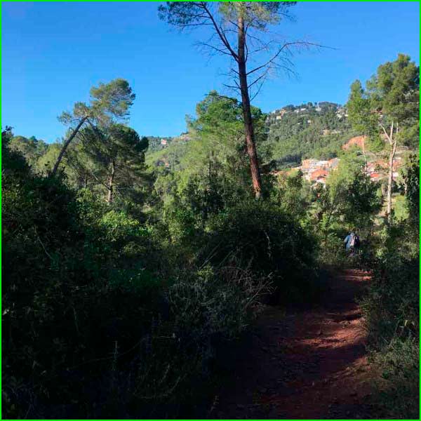 ruta Camí de Can Vía a Can Ros en Barcelona