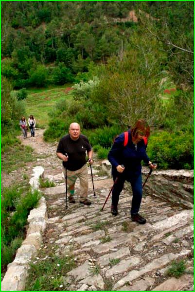 Espai d'Interès Natural de la Serra de Castelltallat en Barcelona