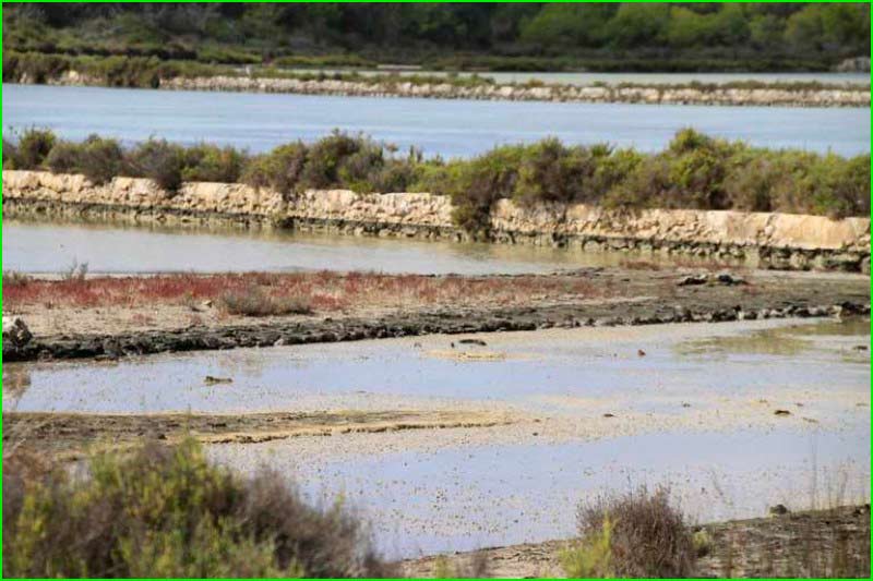 track Camí de Estany en Baleares