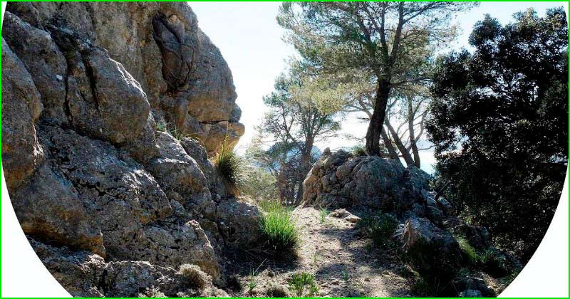 ruta Camí de la Coma des Cairats - Pas de Sa Creu en Baleares