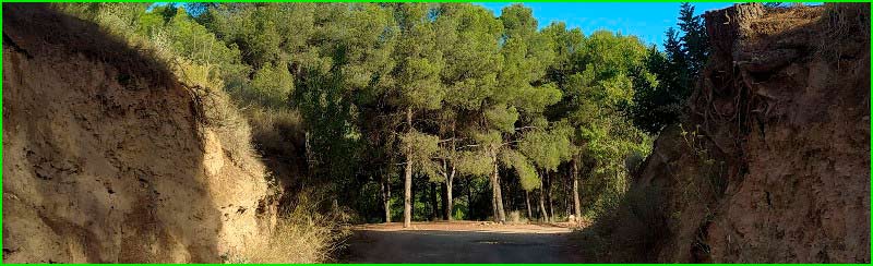 ruta por Parque Natural Sierra Calderona