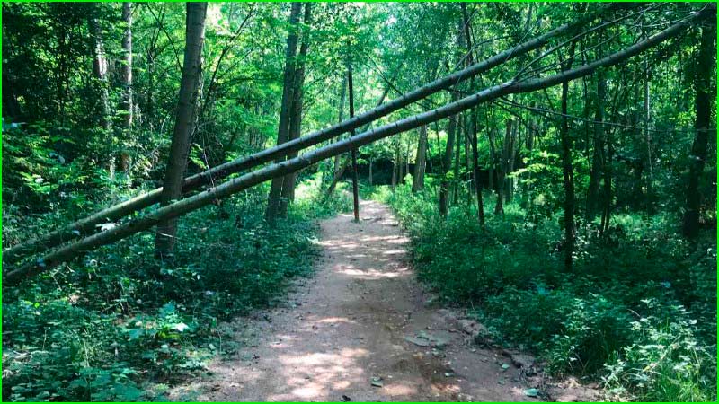 Riudoms en Tarragona