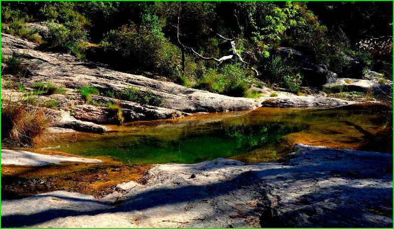 ruta Camí de la Serra del Gat - Camí Perdut de Torrelletes en Barcelona