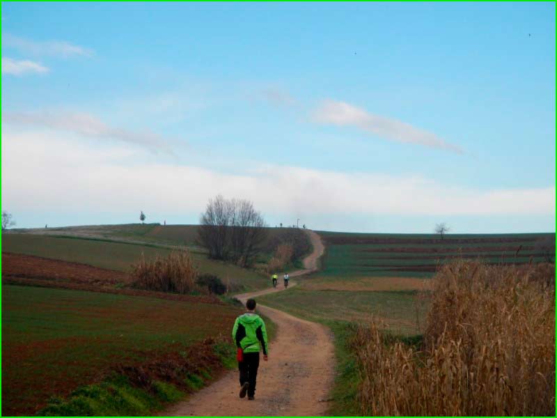 Espai Rural de Gallecs en Barcelona