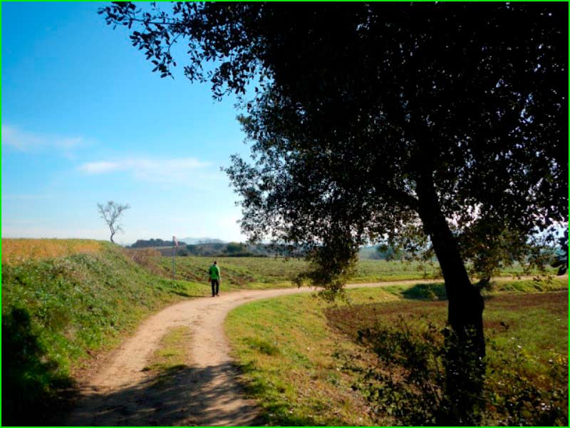 Espai Rural de Gallecs en Barcelona