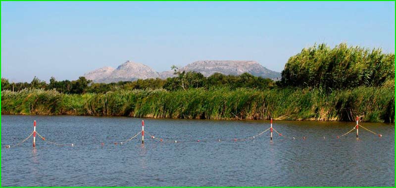Sant Fruitós de Bages en Barcelona