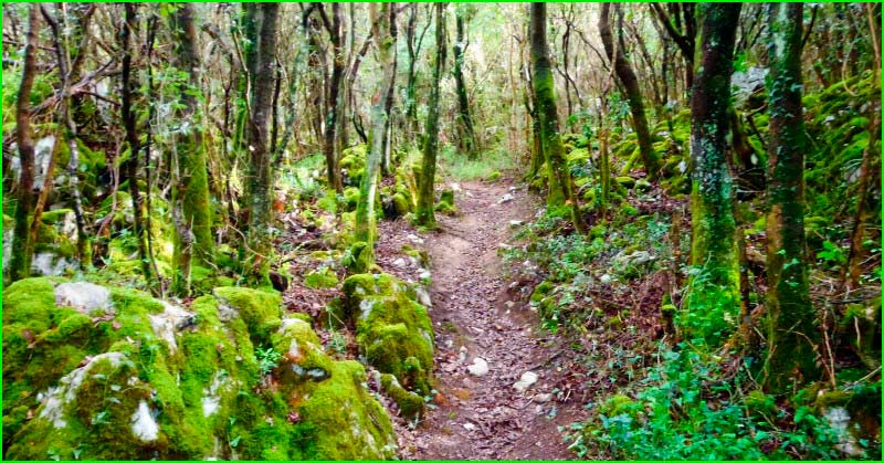 ruta Camí de los Carlistas - El Cáliz en Cantabria
