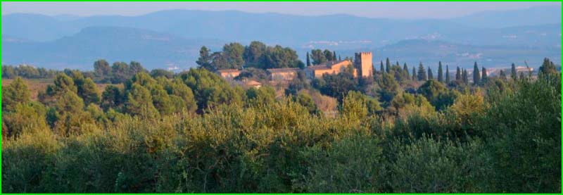 Santa Fe del Penedès en Barcelona