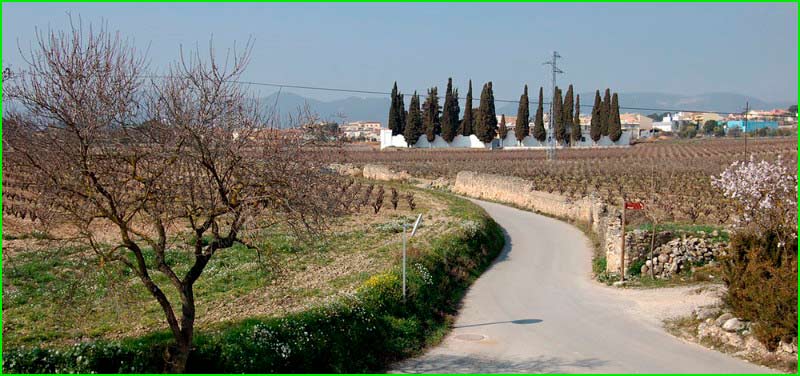 Santa Fe del Penedès en Barcelona