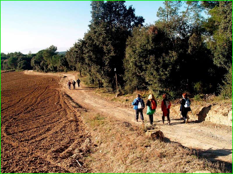 track Camí de Palaudàries a Caldes - GR®97 en Barcelona