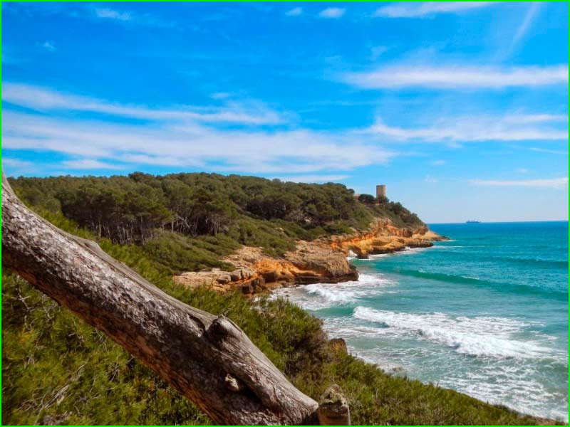 ruta Camí de ronda: Torredembarra - Altafulla en Tarragona