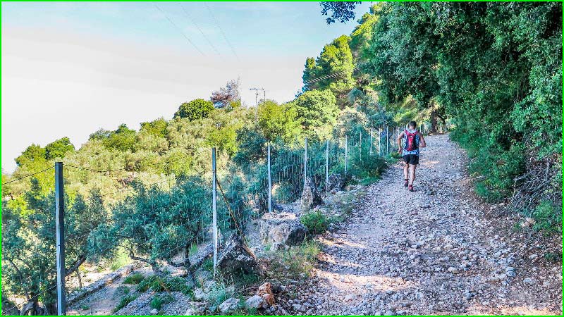 ruta Camí de sa Capelleta en Baleares
