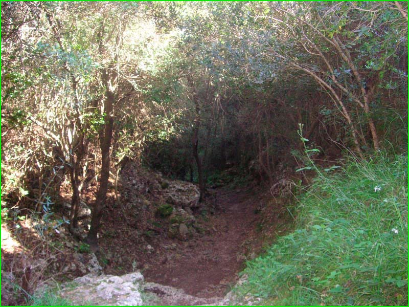 track Camí de sa Font des Bosc en Baleares