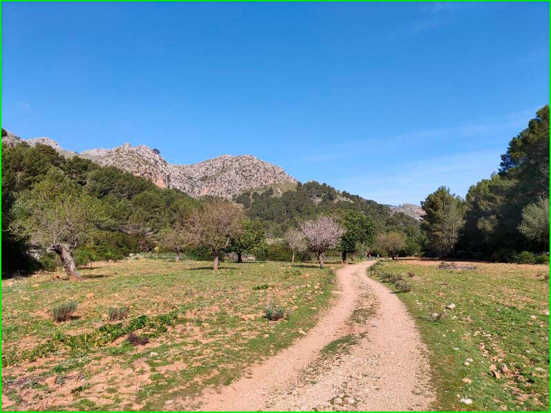 ruta Camí de ses Sínies - Comellar de ses Sínies en Baleares