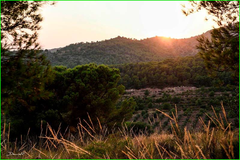 Parque Natural Sierra Calderona en Valencia
