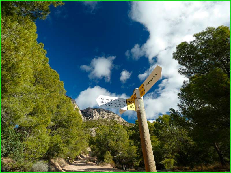 track Camí del Llor - Camí del Puig de l'Angle - Camí de Can Palós en Barcelona