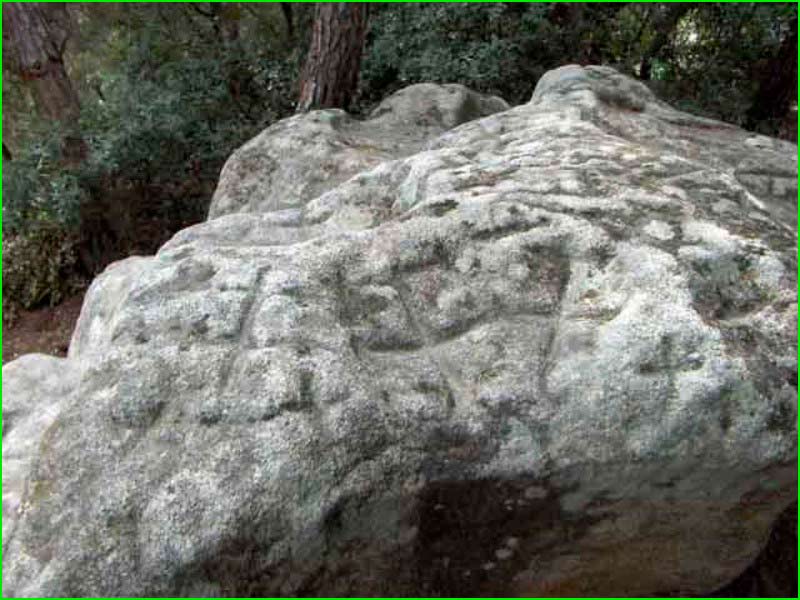 Parc de la Serralada Litoral en Barcelona