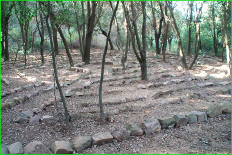 Parc de la Serralada Litoral en Barcelona