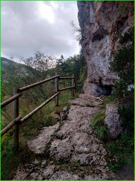 track Camí del Mal Pas - Laberint del Bos d'Òrrius en Barcelona