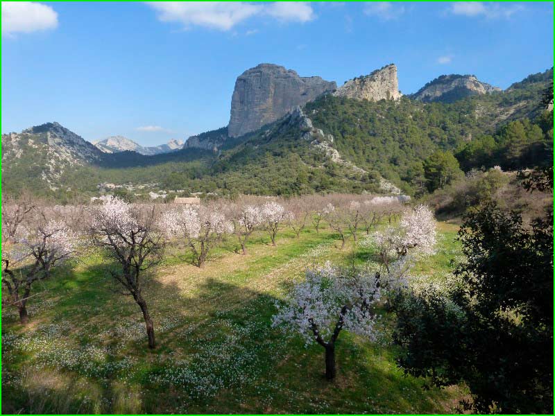 Parque Natural de Els Ports en Tarragona