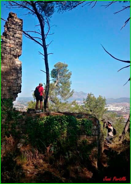 Begues en Barcelona