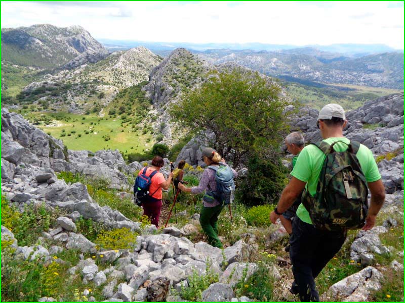 Parque Natural de la Sierra de Grazalema en Cádiz